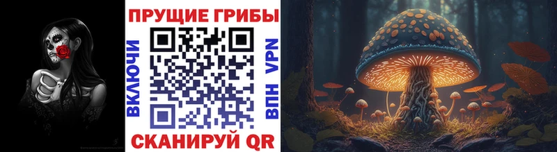 как найти закладки  Кстово  Галлюциногенные грибы MAGIC MUSHROOMS 