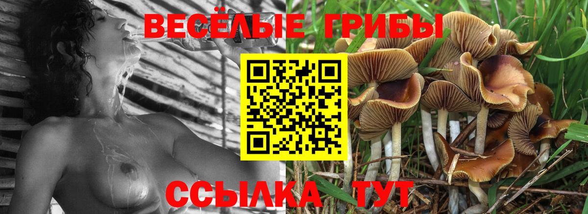 Кстово  Псилоцибиновые грибы MAGIC MUSHROOMS  Вход с VPN 